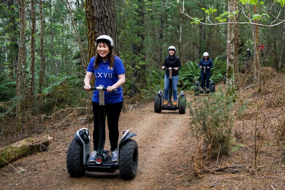 Launceston: Hollybank Forest Guided Segway Tour - Duration and Group Size