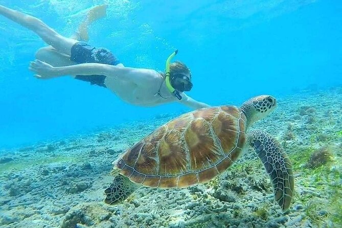 Lempuyang Temple With Bali Blue Lagoon Snorkeling : All Inclusive - Pickup and Transfer Details