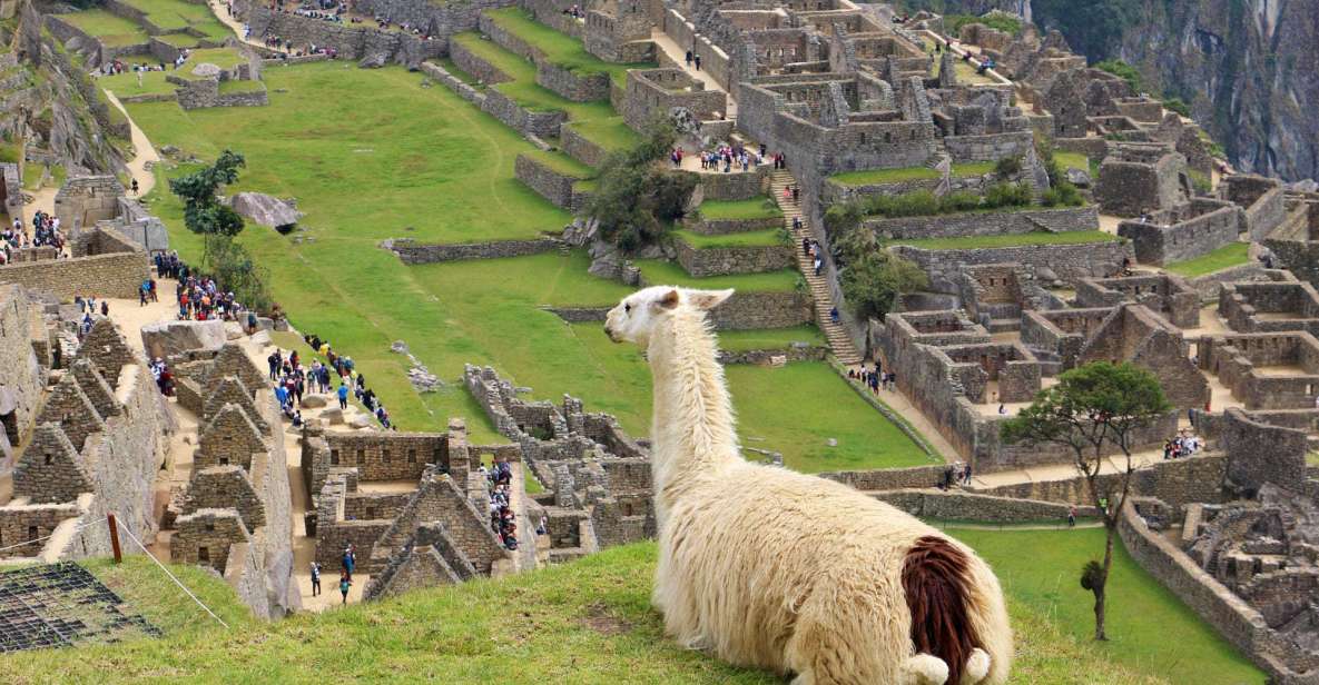 Lima: 9-Day Peru Express With Ica, Cusco, and Puno - Cusco and Sacred Valley Highlights