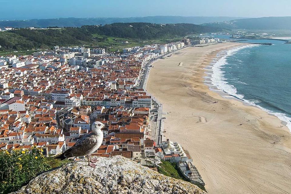 Lisbon: Fátima, Nazaré, and Óbidos Private Tour - Highlights