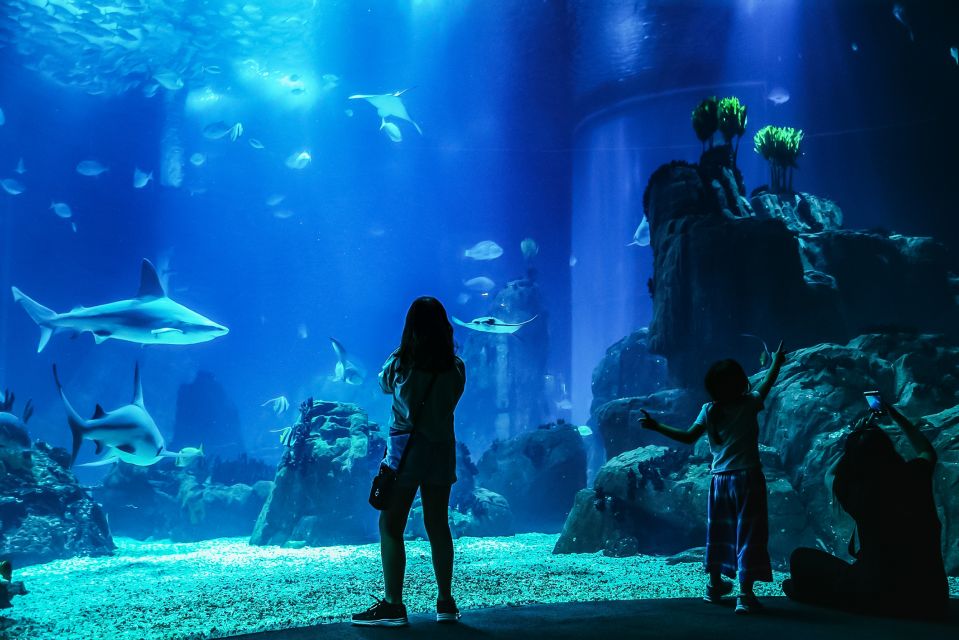 Lisbon: Oceanarium Of Lisbon Entrance Ticket - Exhibits and Attractions