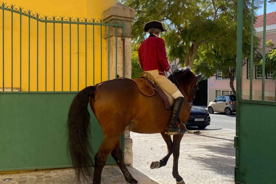 Lisbon: Portuguese Riding School Trainig With Lusitano Horse - Highlights of the Training