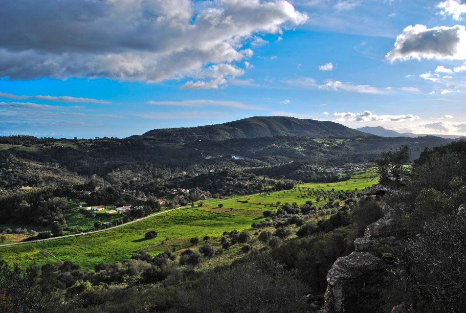 Lisbon Wine Tour Through Sesimbra, Arrábida and Setúbal - Taste the Setúbal District