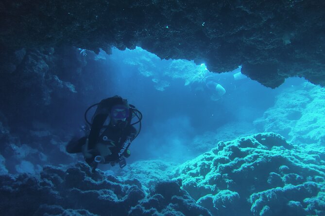 Local Guided Dives (For Certified/Licensed Divers) - Booking and Cancellation Policy