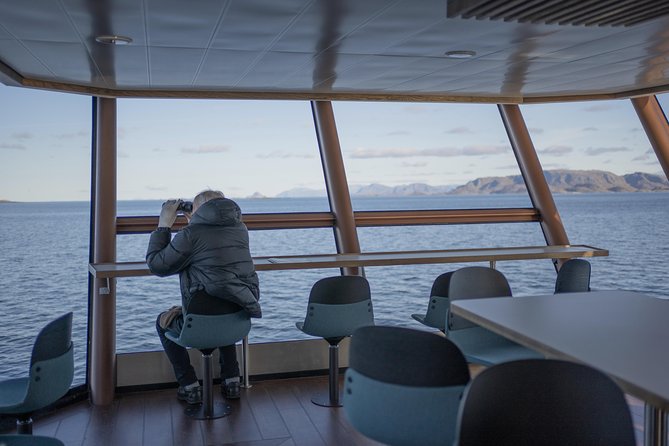 Lofoten Island: Silent Trollfjord Cruise From Svolvaer - Multi-Level Lounges and Decks