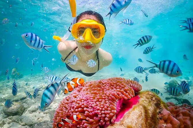 Lombok Pink Beach Boat Trip (Full Day + Snorkeling) - Pickup and Starting Time