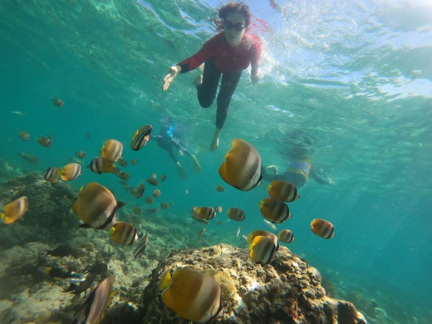 Lombok: Trawangan, Meno & Air Islands Full Day Snorkeling - Exclusions