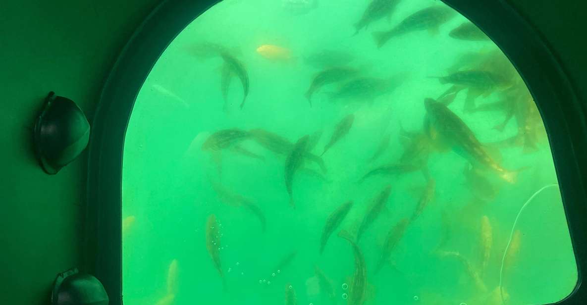 Long Beach: Glass Bottom Boat Harbor Ecotour - Education and Marine Wonder