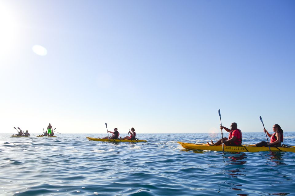 Los Cabos: Bay Kayaking and Snorkeling Private Tour - Highlights of the Experience