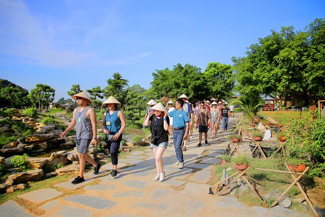 Luxury Hoa Lu Tam Coc Mua Cave 1 Day With Limousine Bus And Lunch - Meeting and Pickup Details