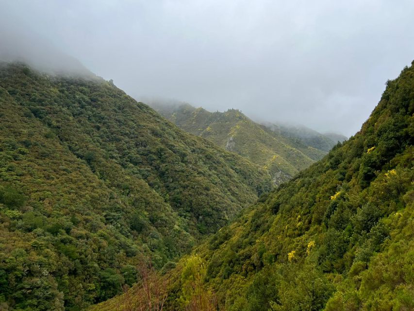 Madeira: 25 Fontes and Risco Levada Hike With Transfers - Itinerary Highlights