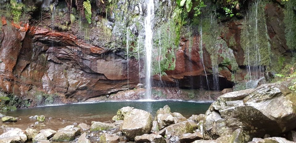 Madeira: Mountain Walk With Lagoon and Waterfalls - What to Expect