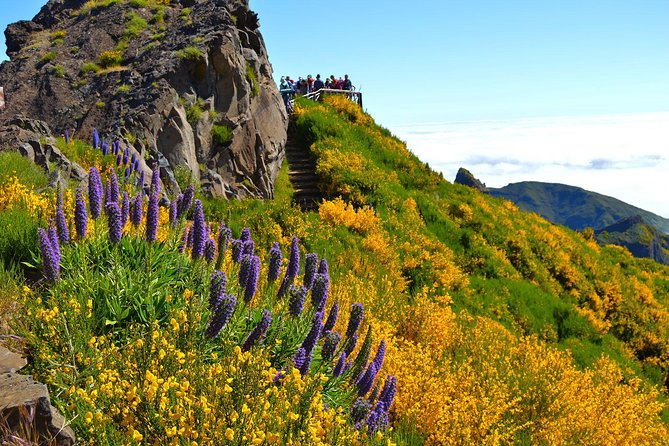 Madeira Peaks - Mountain Walk - Group Size and Booking Confirmation