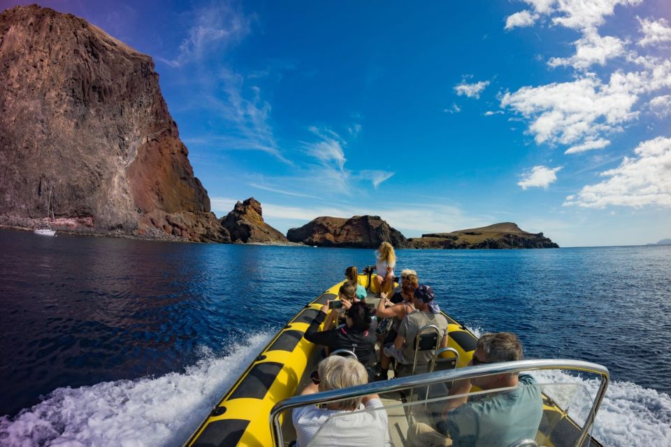 Madeira: Whale and Dolphin Watching Tour - Exploring Marine Life