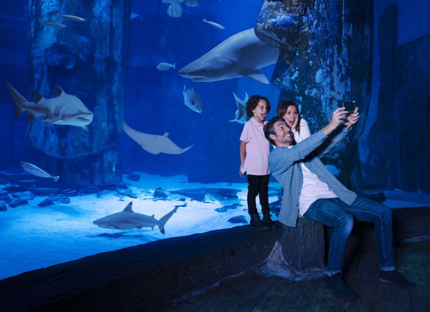 Mall of America: Sea Life Minnesota Aquarium Entry Ticket - Shark and Ray Encounters