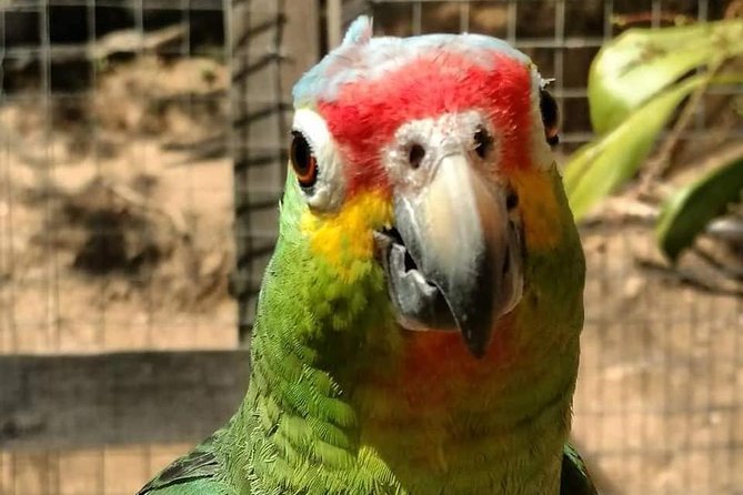 Manawakie Park Sloths & Monkey Encounter - Visitor Reviews and Feedback