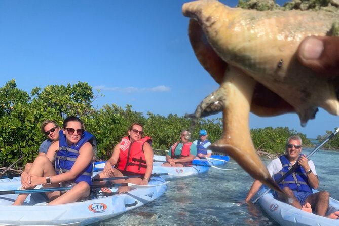 Mangroves Kayak Tour - Tour Logistics