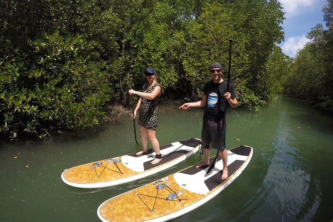 Mangroves SUP Tour Phuket - Suitability and Requirements