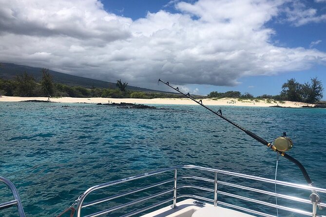 Manta Ray Night Snorkel in Kona - Reviews Overview