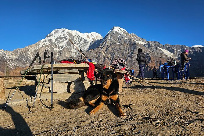 Mardi Himal Trek - Permits and Regulations