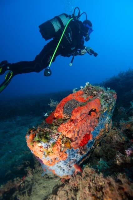 MARINA DI CAMPO: DIVING ON THE ISLAND OF ELBA AND PIANOSA - Dive Site Briefing and Preparation