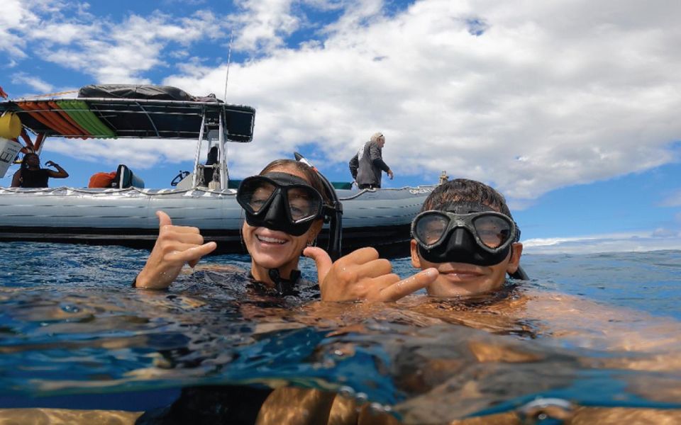 Maui: Semi-Private 2.5 Hour Eco-Raft Turtle Snorkel Tour - Snorkeling and Marine Life