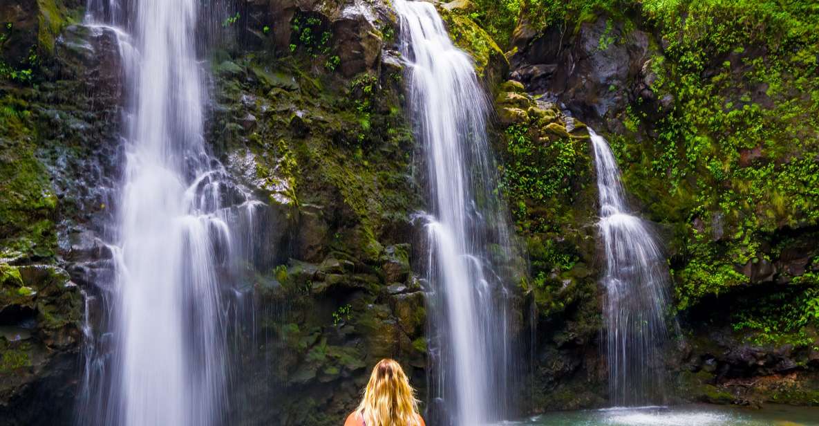 Maui Tropical Rainforest Eco Tour With Lunch - Garden of Eden Arboretum