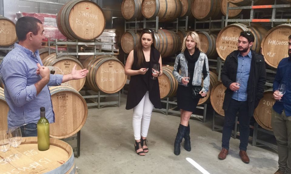 McLaren Vale: Small Group Wine Tour (Includes Lunch) - Customer Reviews