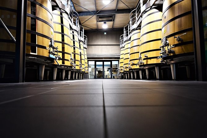 Medoc Afternoon Wine Tour - 2 Wineries, Tastings & Delicacies - Admire Château Architecture
