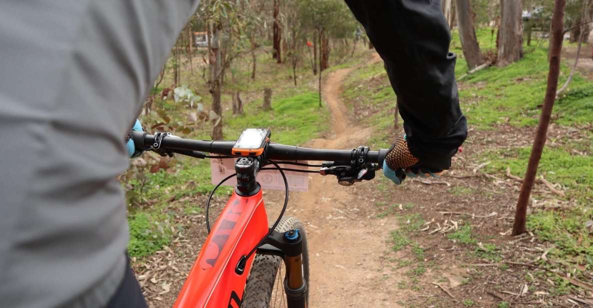 Melbourne: 1-Day Mountain Biking Adventure With Lunch - Important Information