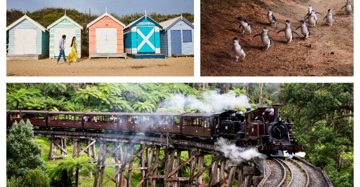 Melbourne: Brighton Boxes, Puffing Billy, and Penguin Parade - Important Information