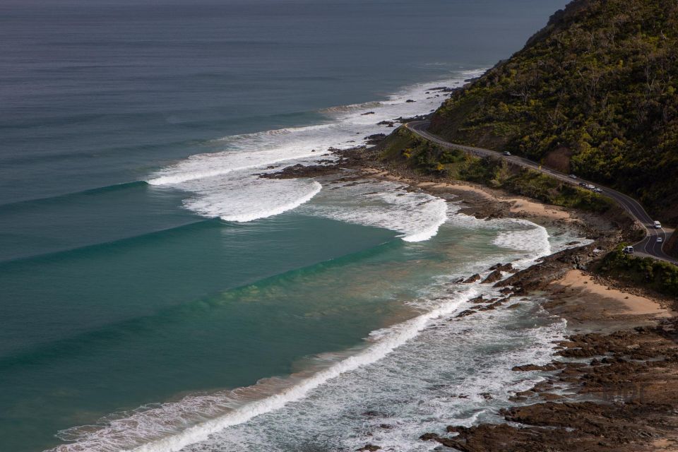 Melbourne: Great Ocean Road & Wildlife Tour for Backpackers - Reservation