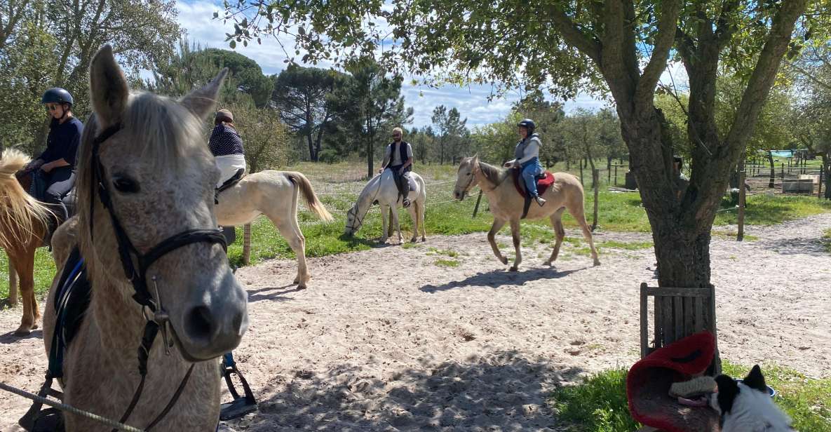 Melides: Horseback Riding on the Beach With Transfer Lisbon - Horseback Riding on Melides Beach