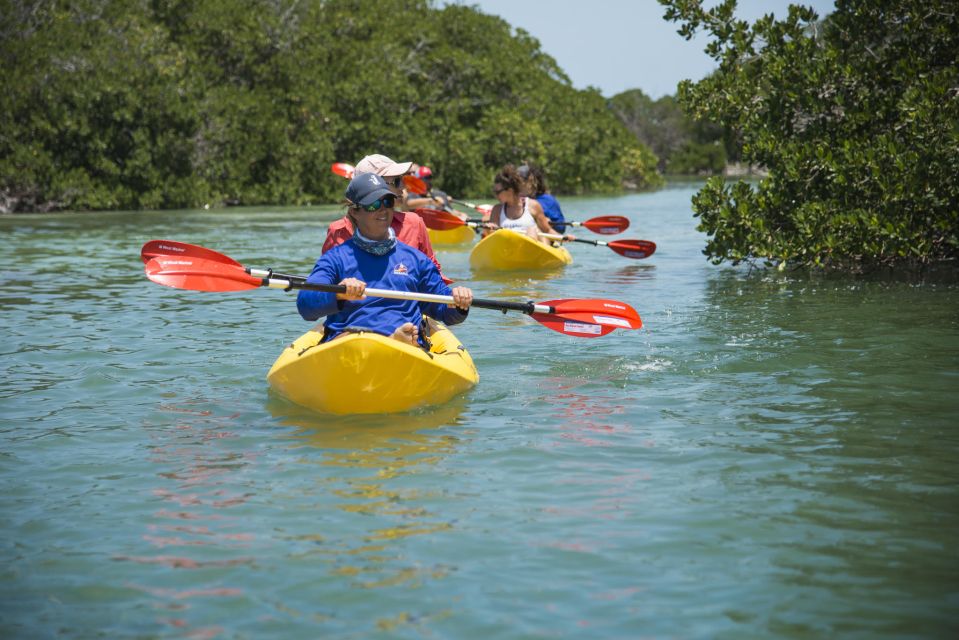 Miami: Key West Tour With Snorkeling & Kayaking - Mangrove Kayaking