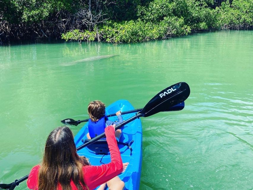 Miami: Paddle Board or Kayak Rental in Virginia Key - Highlights