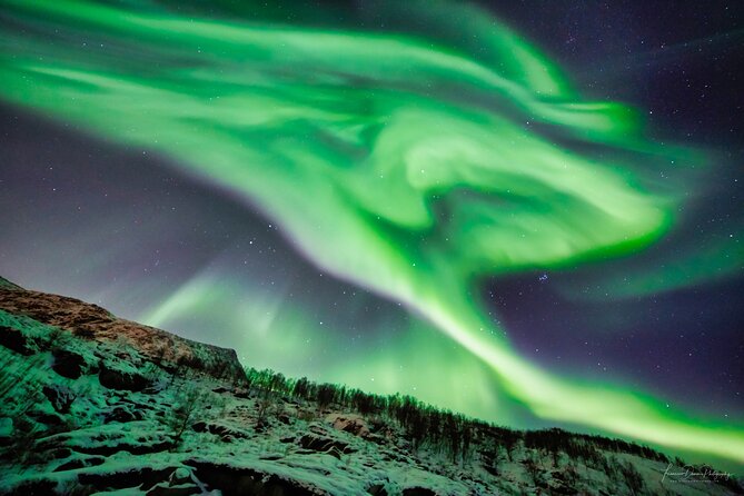 Minivan Northern Lights Excursion (8 Guests per Minivan) - Additional Information