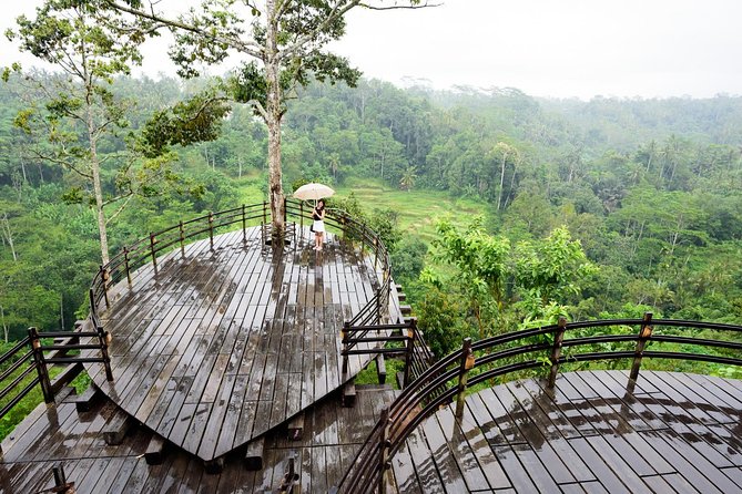 Monkey Forest, Ubud, and Rice Terraces - Visiting Monkey Forest