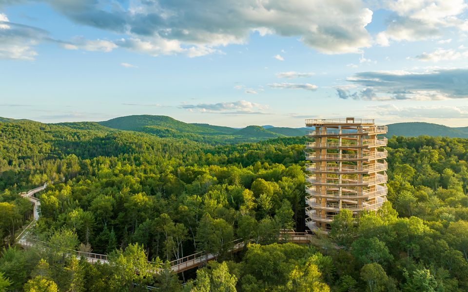 Mont-Tremblant: Laurentians Treetop Observatory and Walk - Discovering Local Wildlife