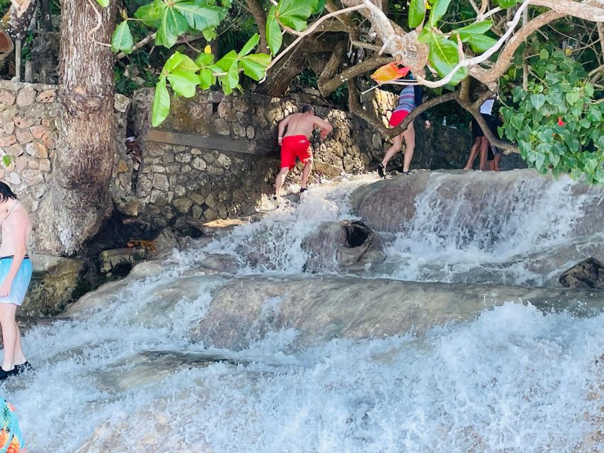 Montego Bay: Private Bob Marley and Dunns River Falls Tour - Itinerary