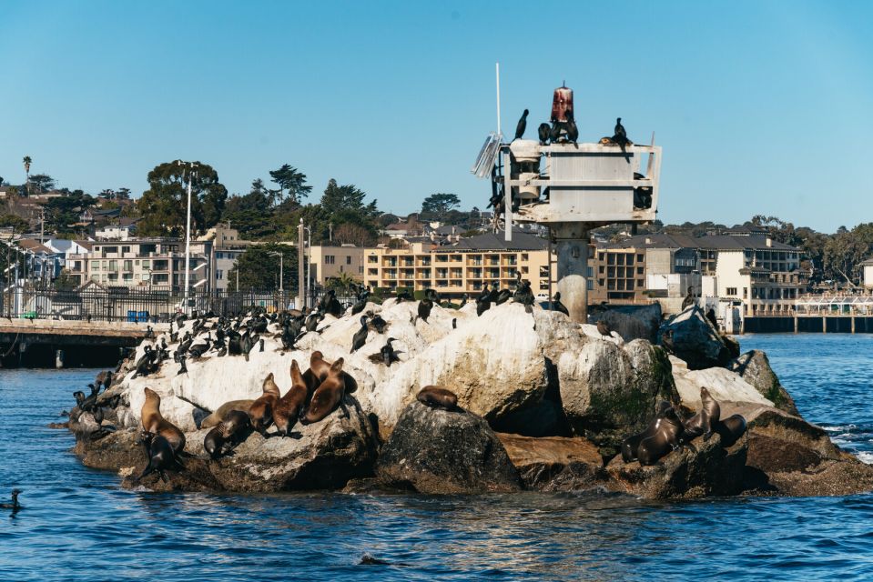 Monterey Bay: Whale Watching Tour - Inclusions