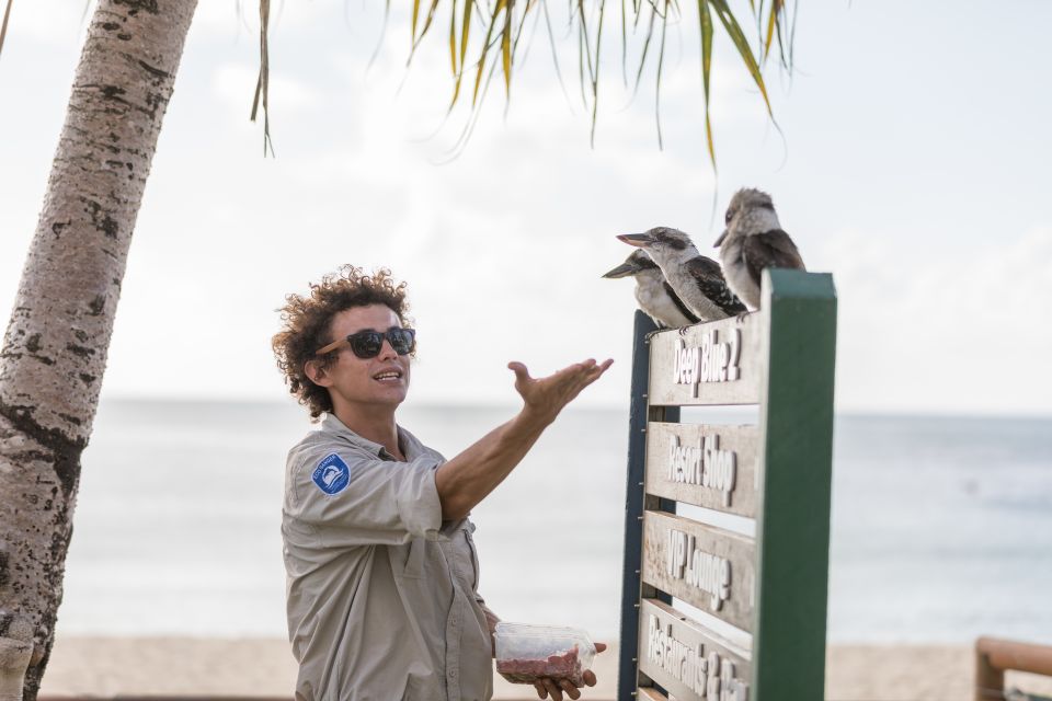 Moreton Island: Desert Safari Tour & Dolphin Viewing - Highlights