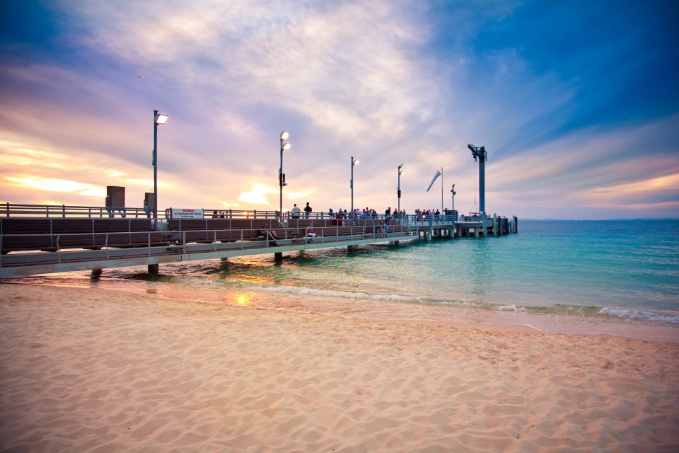 Moreton Island: Marine Discovery Cruise & Dolphin Feeding