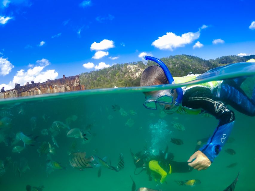 Moreton Island: Tangalooma Snorkelling With Dolphin Viewing - Itinerary and Features