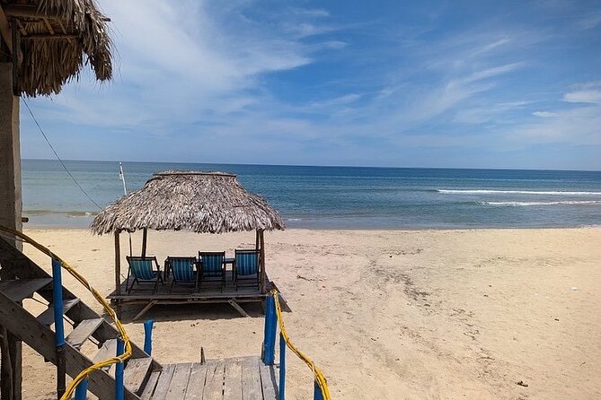 Motorcycle Private Tour With Driver Hue-Da Nang-Hoi an or V.V. - Participant Guidelines