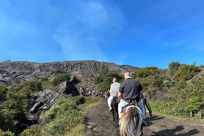 Mount Bromo Private Sunrise Tour - From Surabaya (23:30-15:00) - Exclusions and Additional Fees