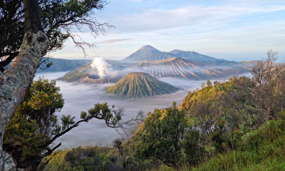 Mount Bromo: Sunrise Guided Tour With Optional Transfer - Itinerary for the Tour