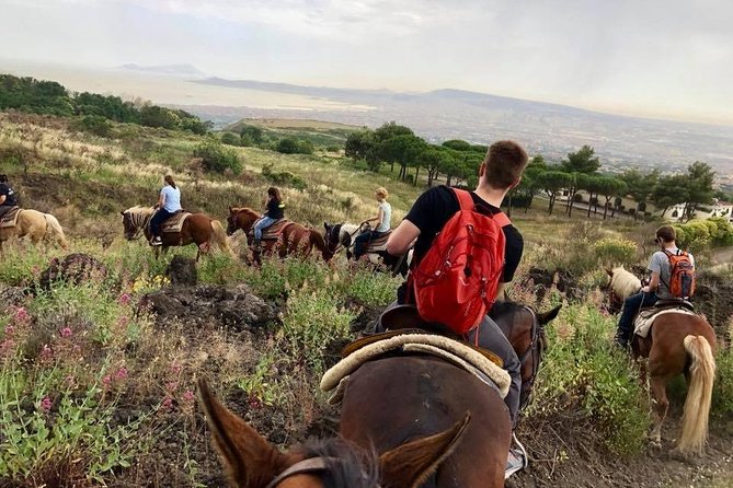 Mount Vesuvius Guided Horse Riding Tour With Sample Wine - Additional Information to Know