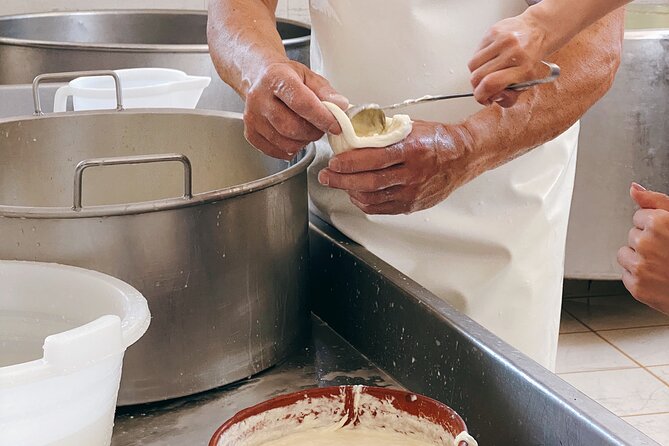 Mozzarella Experience - Cheese Tour and Tastings at Masseria Fragnite - Explanation of Cheeses and Farming