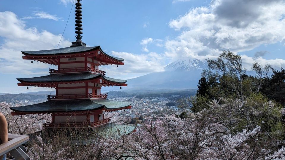 Mt Fuji & Hakone: Sightseeing Private Day Tour With Guide - Pickup Location