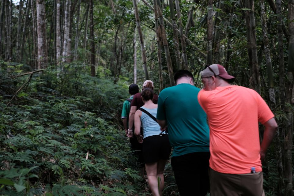 Mt. Merapi Majesty: Soft Trek and Botanic Village Tour - Highlights